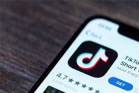 tiktok苹果手机显示没网怎么办