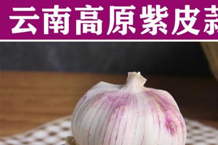 苏蒜6号蒜种