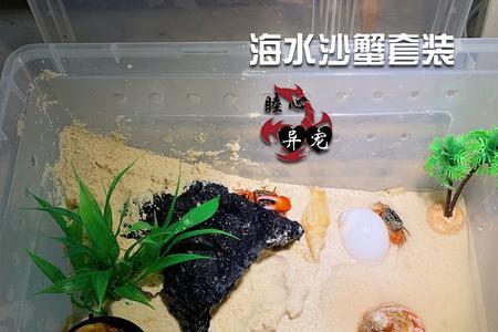 鱼缸养河蟹怎么养