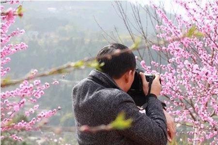 建德八亩丘村十里樱花赏花时间