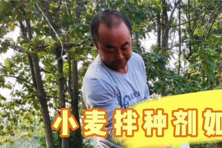 安道尔小麦拌种剂