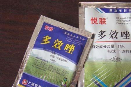 多效唑使用方法