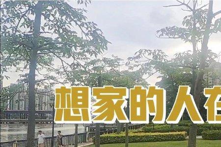 为什么人在外面会想家