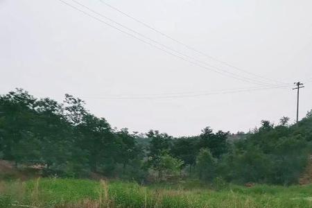 蝎子山水库水从哪里来