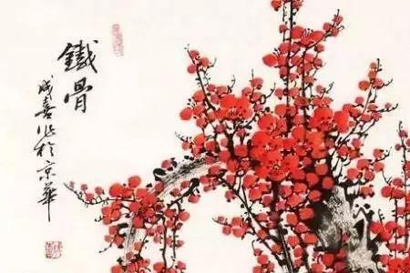 人言梅花之岁寒是什么意思