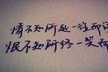 在感情里赌输是什么意思