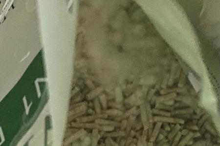 豆腐猫砂发霉什么原因