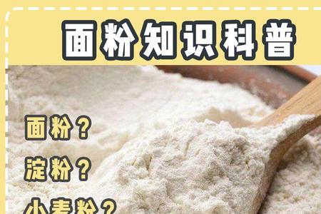 湿粉坨是淀粉吗