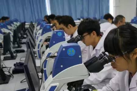 医学管理专业是什么职业