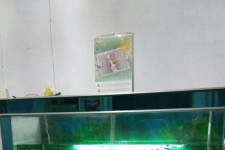 鱼缸尾数多少合适