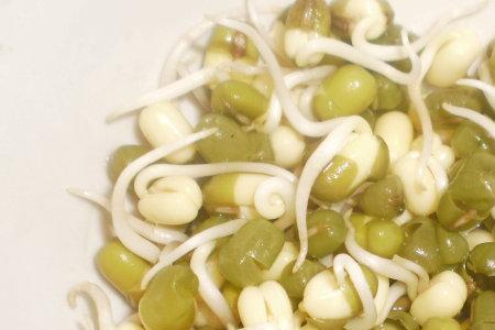 绿豆发芽了可以包粽子吗