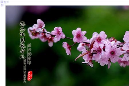 春风依旧近义词