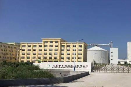 饲料厂什么岗位最轻松