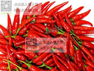 七姊妹辣椒和朝天椒是一种吗