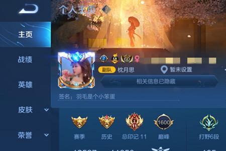 王者荣耀王者满颗星是什么地位