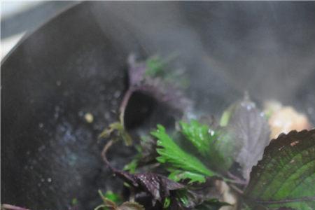 紫苏酱焖排骨做法大全