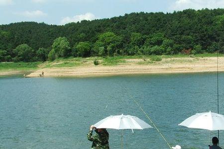 铁岭新区天水河让钓鱼吗