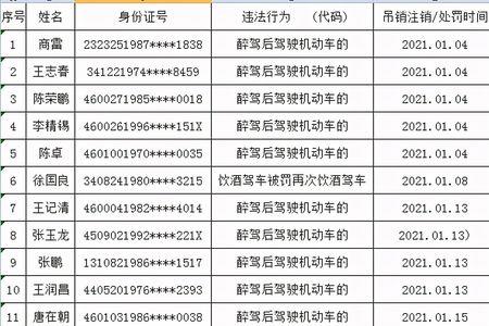 吊销驾照6个月什么意思