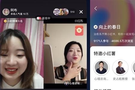 人们使用小红书的心理特征