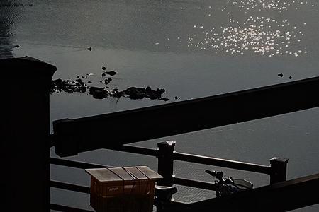 百般无奈皆是生活文案