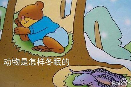 动物过冬 相关咨料