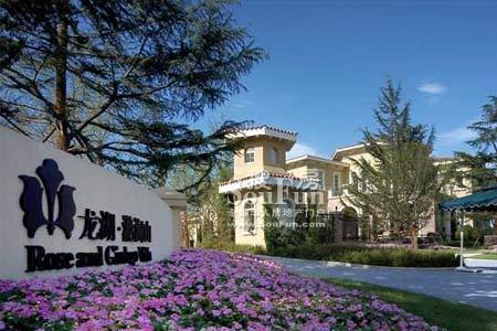 大连龙湖滟澜山为什么便宜