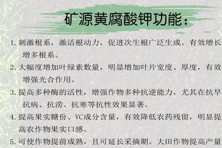 矿源黄腐酸钾在辣椒苗期的用量