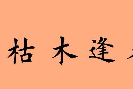 葛的四字成语