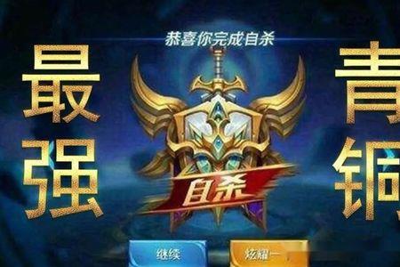 最强王者7星什么水平