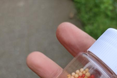 逗钓鲤鱼泡沫用多大合适