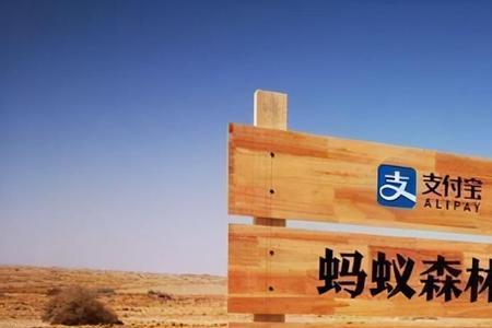支付宝蚂蚁森林登山赛攻略
