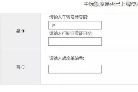 上海上牌额度怎么审