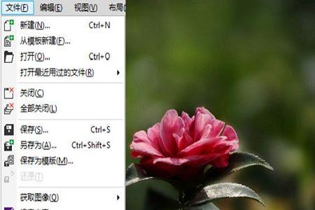 桌面不显示cdr图标