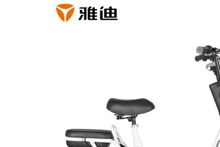雅迪是个人名吗