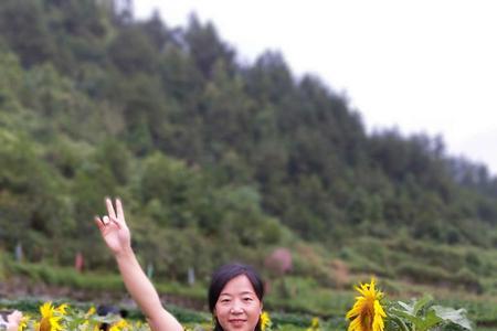 心情像阳光一样灿烂什么意思