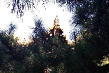 徐步而入和拱立阶下意思