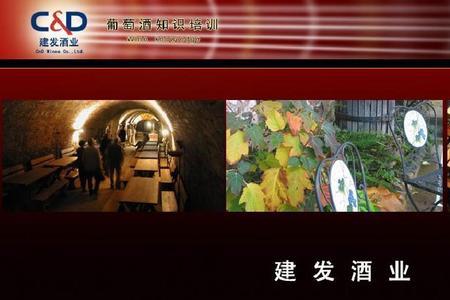 建发酒业红酒怎么样