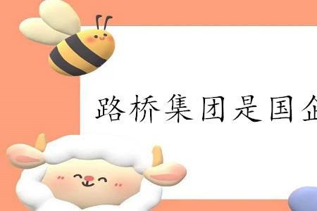 中洪熙集团是国企还是私企