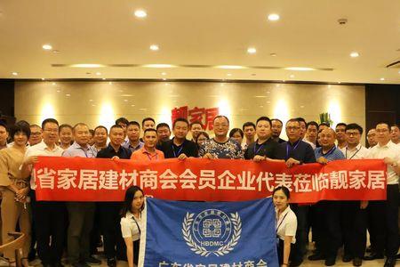 靓家居是上市公司吗