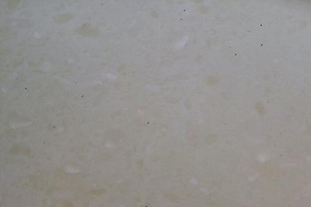 枇杷里面像蚂蚁一样的小虫子
