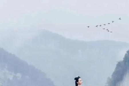 不知者无知者什么意思