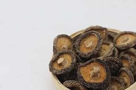 干香菇苦是什么原因
