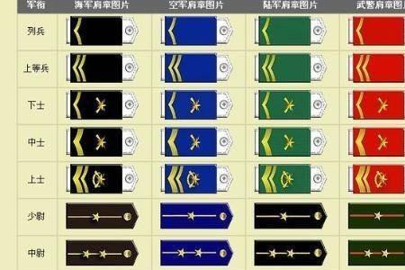 苹果手机为什么搜不到军职在线