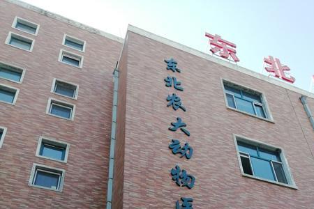 哈尔滨哪有宠物医院