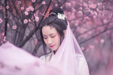 霁云香的意思