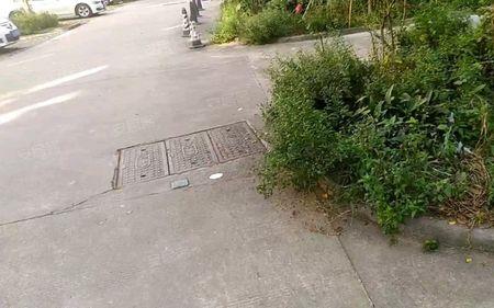 扬州佳家幸福园是哪个公司建的