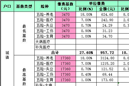 山东城乡居民社保缴费标准