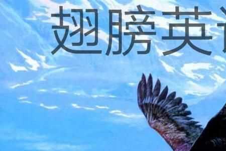 dare的否定用法和短语