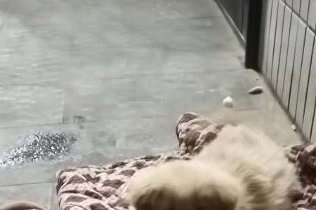 不幸中的万幸什么意思