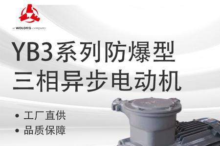 三相异步电动机ip55是什么